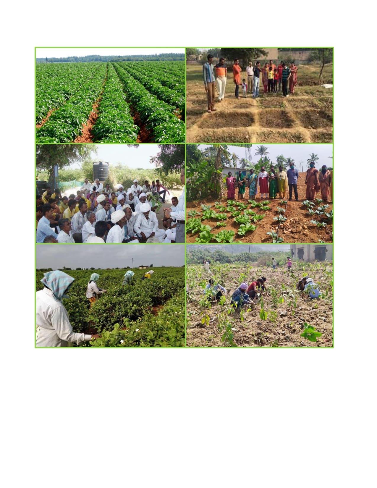 Organic Farming Awareness & Training — page