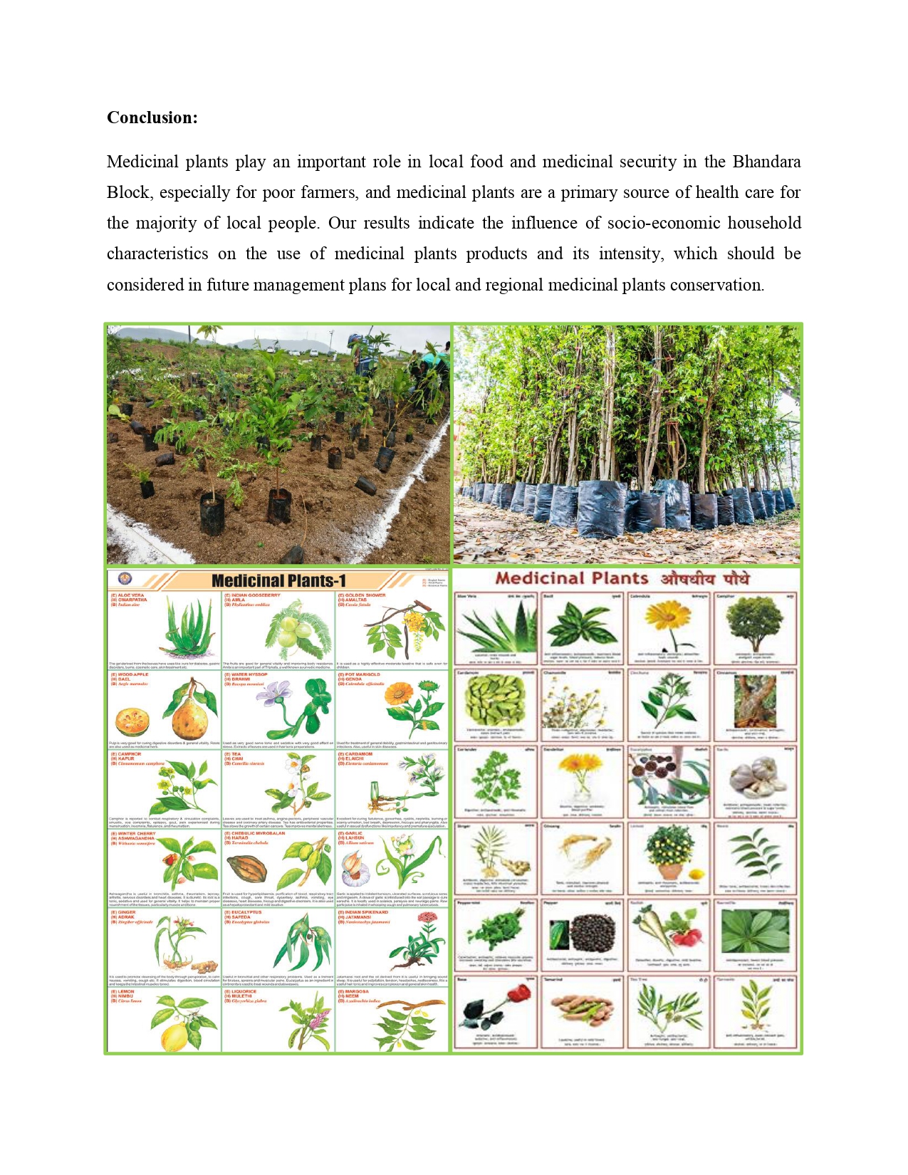 Home Herbal Medicinal Plantation Workshop — page