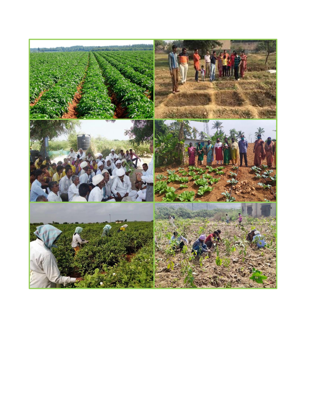 Organic Farming Awareness & Training — page